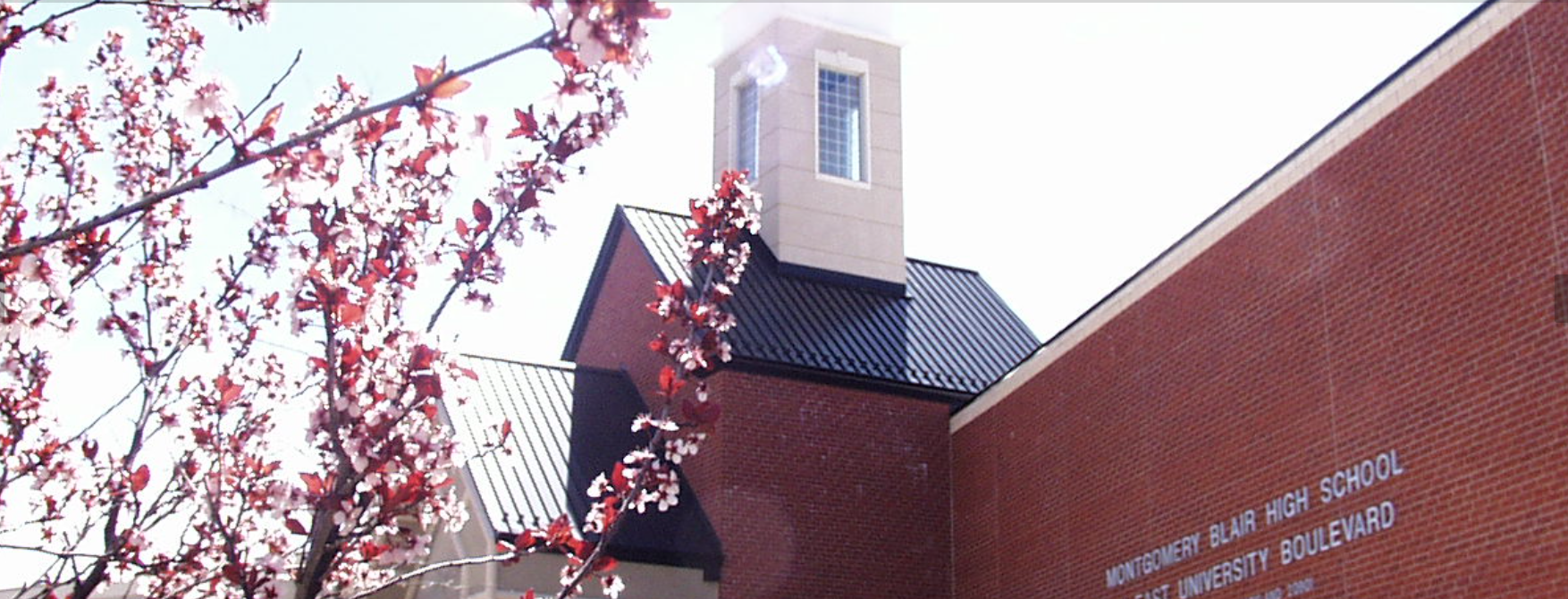 Homa screenshot 2025 08 30 110834